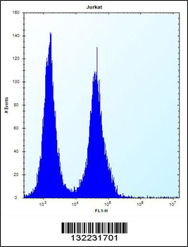 SNX25 Antibody (Center)