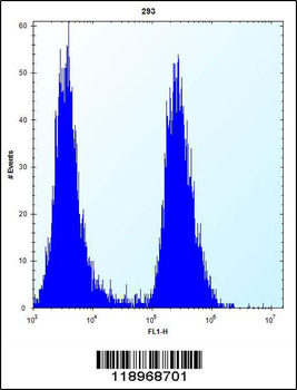 EIF2B1 Antibody (Center)