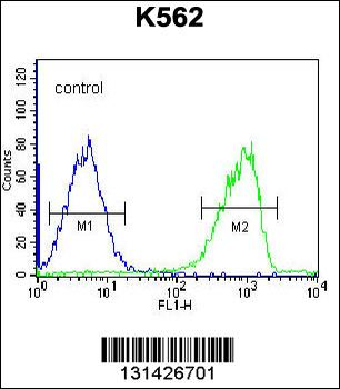 S3TC1 Antibody (C-term)