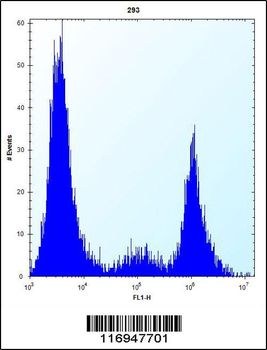 CYP20A1 Antibody (Center)