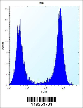 CTSK Antibody (Center E112)