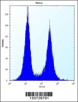 CD27 Antibody (C-term)