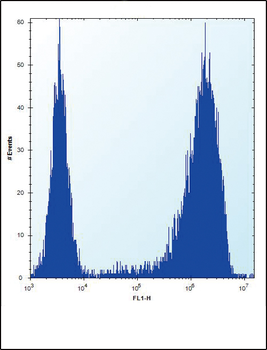 AP2M1 Antibody (C-term)