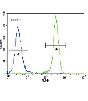 E Cadherin (CDH1) Antibody (C-term)