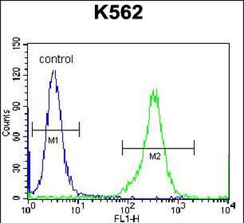 KEL Antibody (Center)