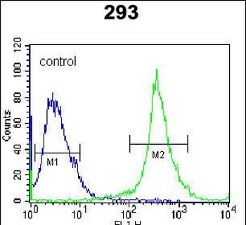 IL-17D Antibody (Center)