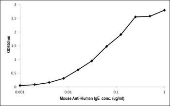 Mouse Human IgE Antibody