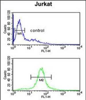 CC130 Antibody (Center)