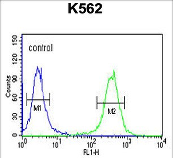 ELP6 Antibody (C-term)