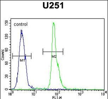 COPZ2 Antibody (C-term)
