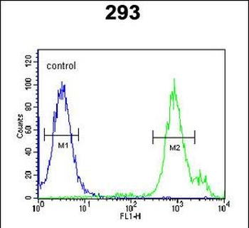 SLC9A9 Antibody (C-term)