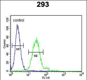 EpCAM Antibody (N-term)