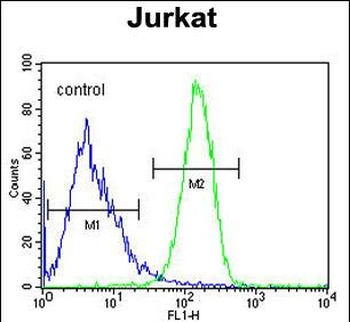 CC106 Antibody (Center)