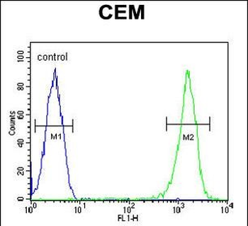 RCN3 Antibody (Center)