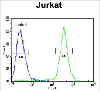 SAMSN1 Antibody (Center)