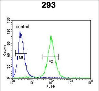 SPB3 Antibody (N-term)