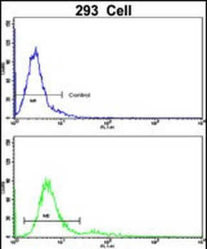 BAALC Antibody (N-term)