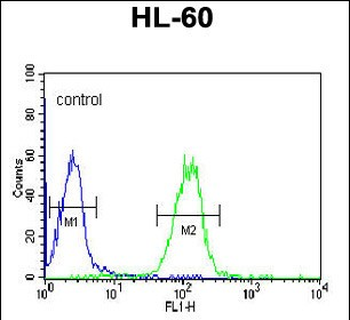 APOL4 Antibody (Center E273)