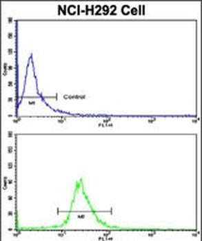 KIF3C Antibody (C-term)