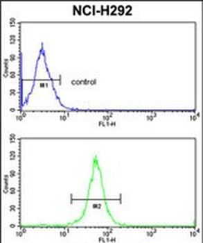 XPOT Antibody (C-term)