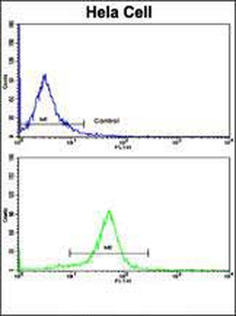 NFKBIA Antibody ( S32/36 )