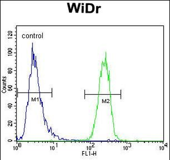 UTS2 Antibody (N-term)