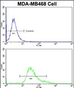 HSPC142 Antibody (Center)
