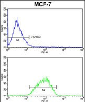 DERL2 Antibody (C-term)