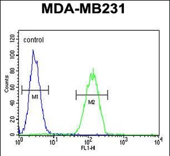 NEU1 Antibody (Center)