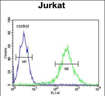 PKHH2 Antibody (C-term)