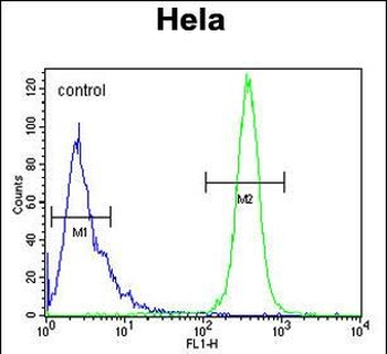 K2C78 Antibody (Center)