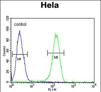 ADCY4 Antibody (Center)