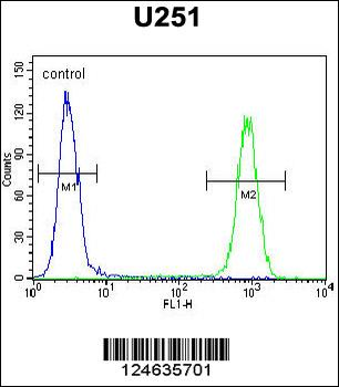 GSPT1 Antibody (N-term)
