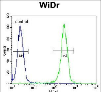 SLC39A10 Antibody (Center)