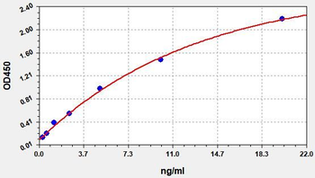 Human anti- Aβ40 antibody (anti-Amyloid Beta 40 antibody )ELISA Kit