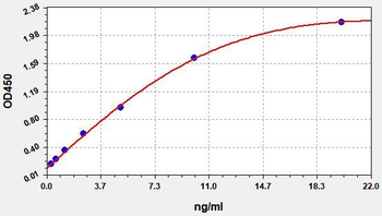 Rat MMP-13 (Matrix Metalloproteinase 13) ELISA Kit
