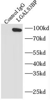 LGALS3BP Antibody