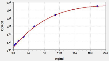 Human CA12 ELISA Kit