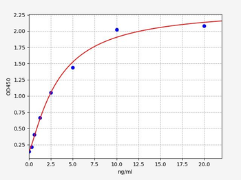 Human Bcl2L11 ELISA Kit