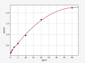 Human CNX ELISA Kit