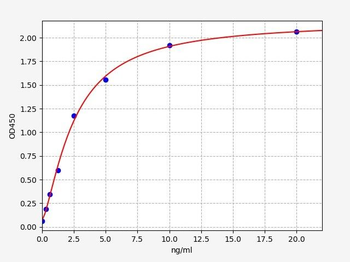Rat MDR1 ELISA Kit