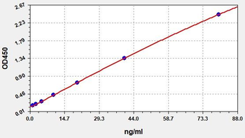 Sheep IgG1 ELISA Kit