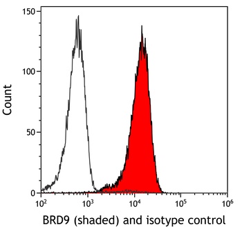 Rabbit anti-BRD9 Recombinant Monoclonal Antibody