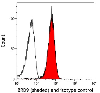 Rabbit anti-BRD9 Recombinant Monoclonal Antibody