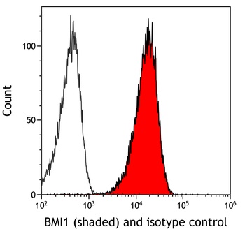 Rabbit anti-BMI1 Recombinant Monoclonal Antibody
