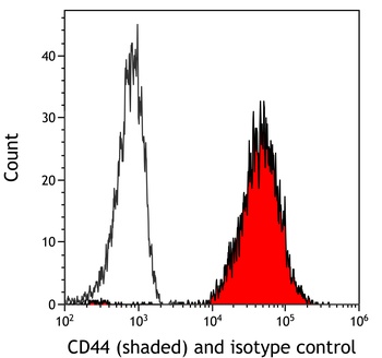 Rabbit anti-CD44 Recombinant Monoclonal Antibody