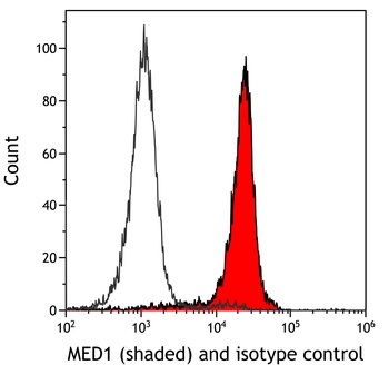 Rabbit anti-MED1 Recombinant Monoclonal Antibody