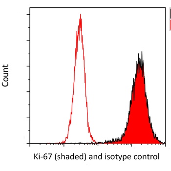 Rabbit anti-Ki-67 Recombinant Monoclonal Antibody