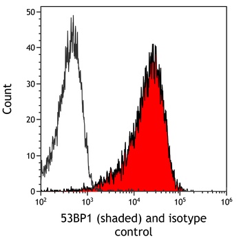 Rabbit anti-53BP1 Recombinant Monoclonal Antibody