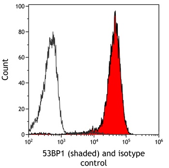 Rabbit anti-53BP1 Recombinant Monoclonal Antibody